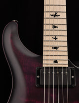 Paul Reed Smith DW CE 24 Floyd Dustie Waring Signature Waring Burst