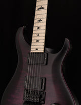 Paul Reed Smith DW CE 24 Floyd Dustie Waring Signature Waring Burst