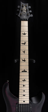 Paul Reed Smith DW CE 24 Floyd Dustie Waring Signature Waring Burst