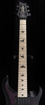 Used Paul Reed Smith DW CE 24 Floyd Dustie Waring Signature Waring Burst