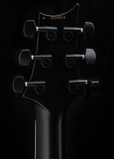 Paul Reed Smith DW CE 24 Floyd Dustie Waring Signature Waring Burst