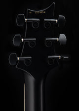 Used Paul Reed Smith DW CE 24 Floyd Dustie Waring Signature Waring Burst