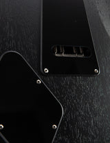 Used Paul Reed Smith DW CE 24 Floyd Dustie Waring Signature Waring Burst