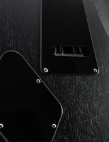 Paul Reed Smith DW CE 24 Floyd Dustie Waring Signature Waring Burst