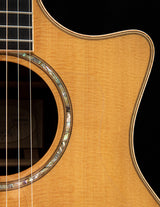 Used Taylor 814ce Cocobolo Fall Limited