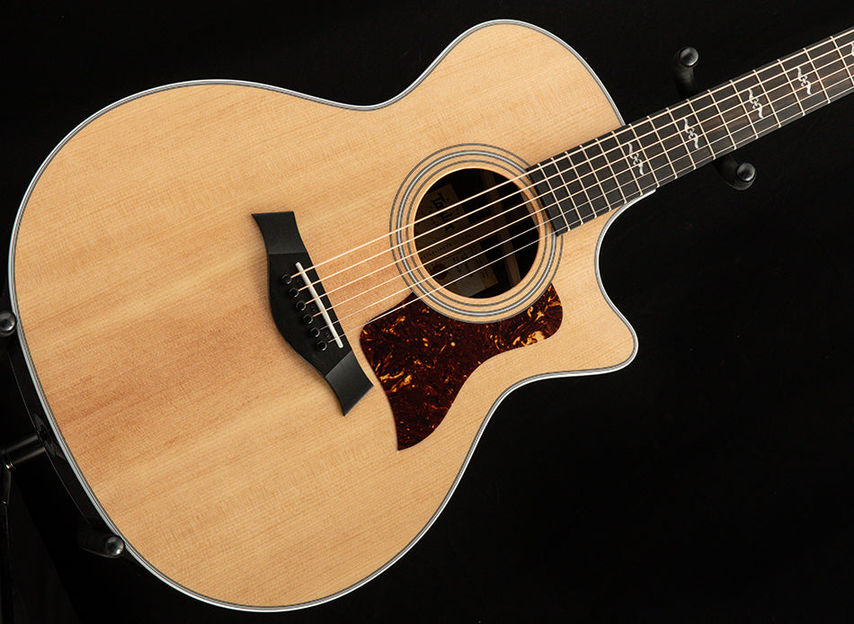 ギター Taylor 414ce V-class Rosewood Taylor 414ce-R Acoustic-electric Guitar - Natural with