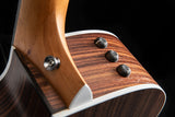 Taylor 214ce Rosewood
