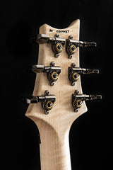 Paul Reed Smith Wood Library Artist Custom 24 Brian's Guitars 10th Anniversary Limited Laguna