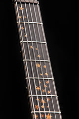 Paul Reed Smith Private Stock Special Semi-Hollow Nightfall Brian's Exclusive