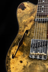 Fender Custom Shop Artisan Double Esquire Buckeye Burl