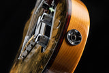 Fender Custom Shop Artisan Double Esquire Buckeye Burl