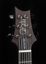 Paul Reed Smith Wood Library McCarty 594 Hollowbody II Brian's Limited Blue Fade