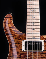 Paul Reed Smith Wood Library Artist Custom 24 Brian's Guitars 10th Anniversary Limited Zombie Fade