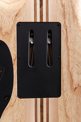 Mayones Regius PRO 6 Buckeye Burl