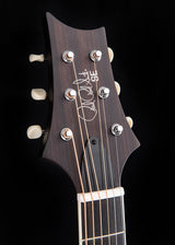 Paul Reed Smith SE Tonare P20E