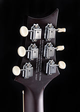 Paul Reed Smith SE Tonare P20E