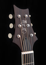 Paul Reed Smith SE Tonare P20E