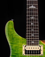 Paul Reed Smith SE Custom 24-08 Eriza Verde