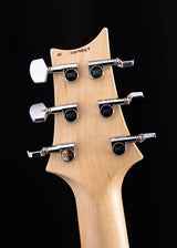 Paul Reed Smith CE 24 Semi-Hollow Blue Matteo