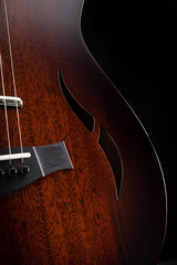 Taylor T5z Classic Deluxe Shaded Edgeburst