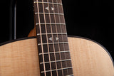 Taylor GT Urban Ash