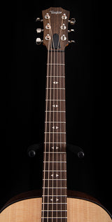 Taylor GT Urban Ash