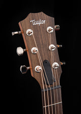Taylor GT Urban Ash