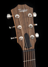 Taylor GTe Urban Ash