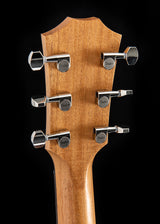 Taylor GTe Urban Ash