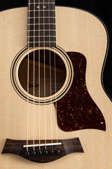 Taylor GTe Urban Ash