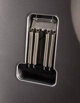 Paul Reed Smith Silver Sky John Mayer Signature Model Tungsten Maple