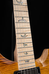 Paul Reed Smith Wood Library Artist Special Semi-Hollow Brian's Guitars 10th Anniversary Limited Beach Fade