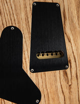 Paul Reed Smith Wood Library Artist Special Semi-Hollow Brian's Guitars 10th Anniversary Limited Iceberg Fade