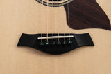 Taylor GT 811e