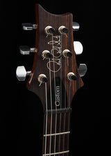 Used Paul Reed Smith Custom 24 Trampas Green