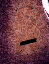 Paul Reed Smith Private Stock Hollowbody II Piezo Trem Purple Glow