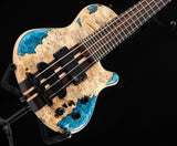 Mayones Cali 4 Buckeye Burl Blue Resin