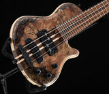 Mayones Cali 4 Buckeye Burl Trans Brown Gold Resin