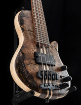 Mayones Cali 4 Buckeye Burl Trans Brown Gold Resin