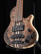 Mayones Cali 4 Buckeye Burl Trans Brown Gold Resin