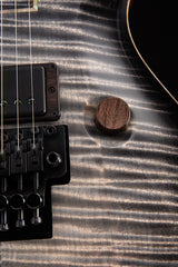 Paul Reed Smith Private Stock Floyd Custom 24 Frostbite Glow