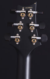 Paul Reed Smith Mark Holcomb Custom 24 Limited Jade-Brian's Guitars