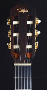 Used Taylor NS62-ce Nylon-Brian's Guitars