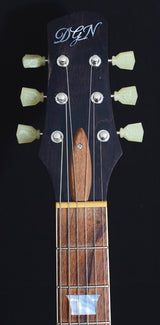 Used DGN Paragon Semi-Hollow Tobacco Burst-Brian's Guitars