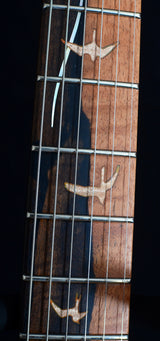 Paul Reed Smith Private Stock DGT Terracotta Glow-Brian's Guitars