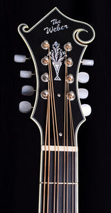 Used Weber Yellowstone F24-F Mandocello Burnt Amber Burst-Brian's Guitars