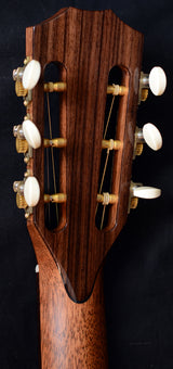 Taylor BTO 12 Fret Rosewood Red Cedar-Brian's Guitars