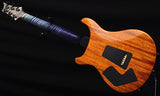 Paul Reed Smith Private Stock Modern Eagle V Limited Sub Zero Glow Smoked Burst-Brian's Guitars