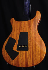 Paul Reed Smith Private Stock Modern Eagle V Limited Sub Zero Glow Smoked Burst-Brian's Guitars