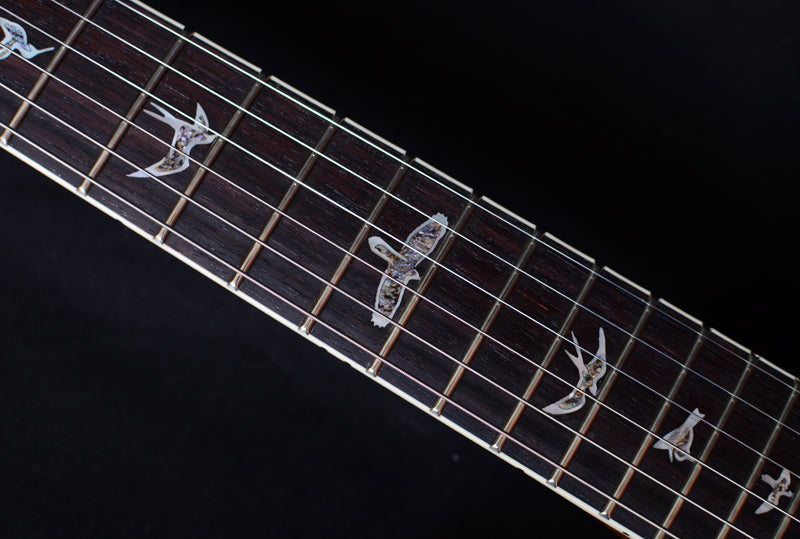 Paul Reed Smith Paul's Guitar Tremolo Custom Aquableux-Brian's Guitars